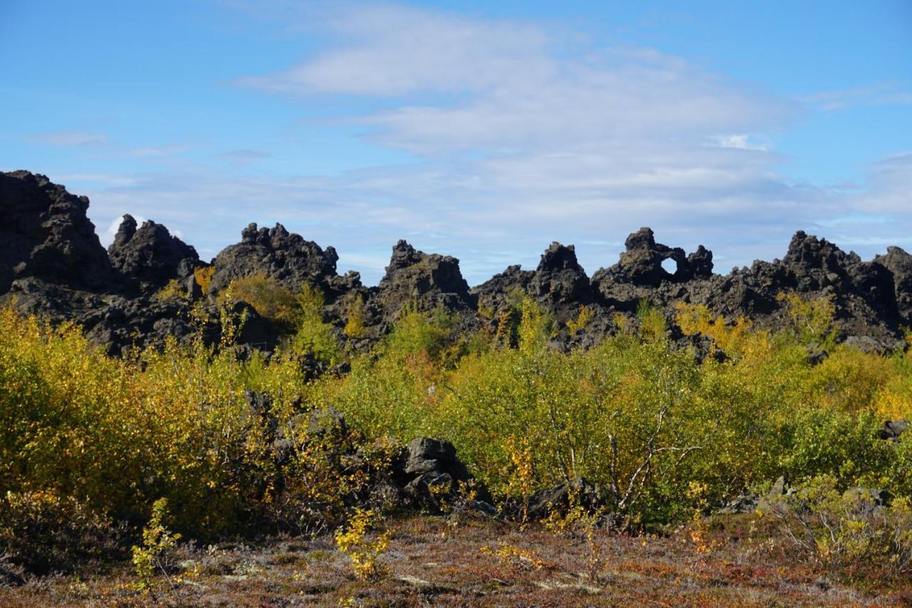 Slow Travel Myvatn - Þufa - Private Homestay 외부 사진